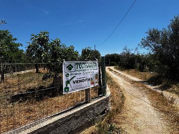 TER. AGRICOLO A FRANCAVILLA FONTANA