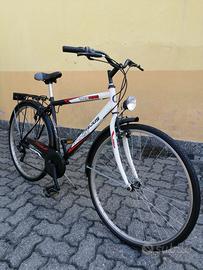 Bicicletta Frejus Bimasc 28