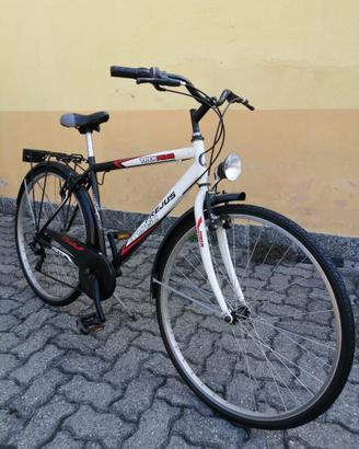 Bicicletta Frejus Bimasc 28