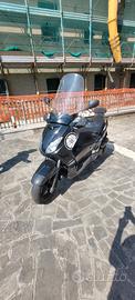 Xmax 250 2007
