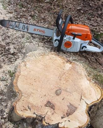 Motosega stihl ms261c