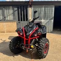Can Am Renegade 1000r