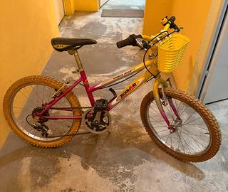 Bicicletta 6/10 anni