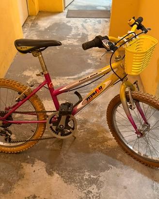 Bicicletta 6/10 anni