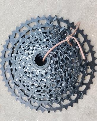 Cassetta Pignoni Sram SX 12v