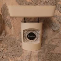 Bilancia dietetica Terraillon Zanuso