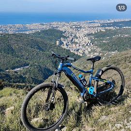 E-bike Haibike