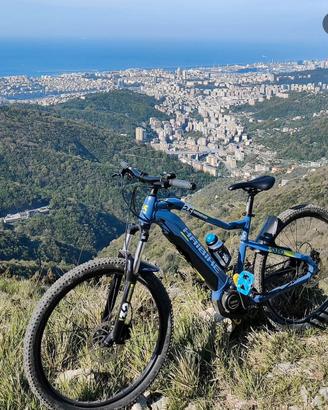 E-bike Haibike