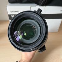 Sigma 60-600mm f4.5-6.3 L mount