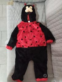 Coccinella a pellicciotto 