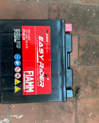 Batteria FIAMM FT12B-12B