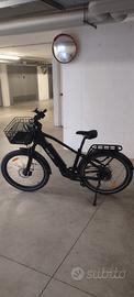Bici elettrica XP I-D9.2S