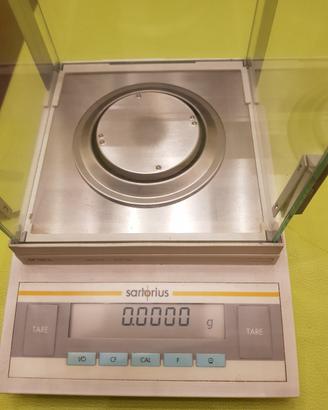 bilancia elettronica 