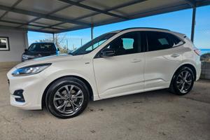 Ford Kuga 1.5 EcoBlue 120 CV aut. 2WD ST-Line X