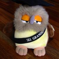 Gufo Laureato Peluche Pupazzo 25 cm