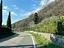 Immagine 15