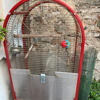 Voliera gabbia