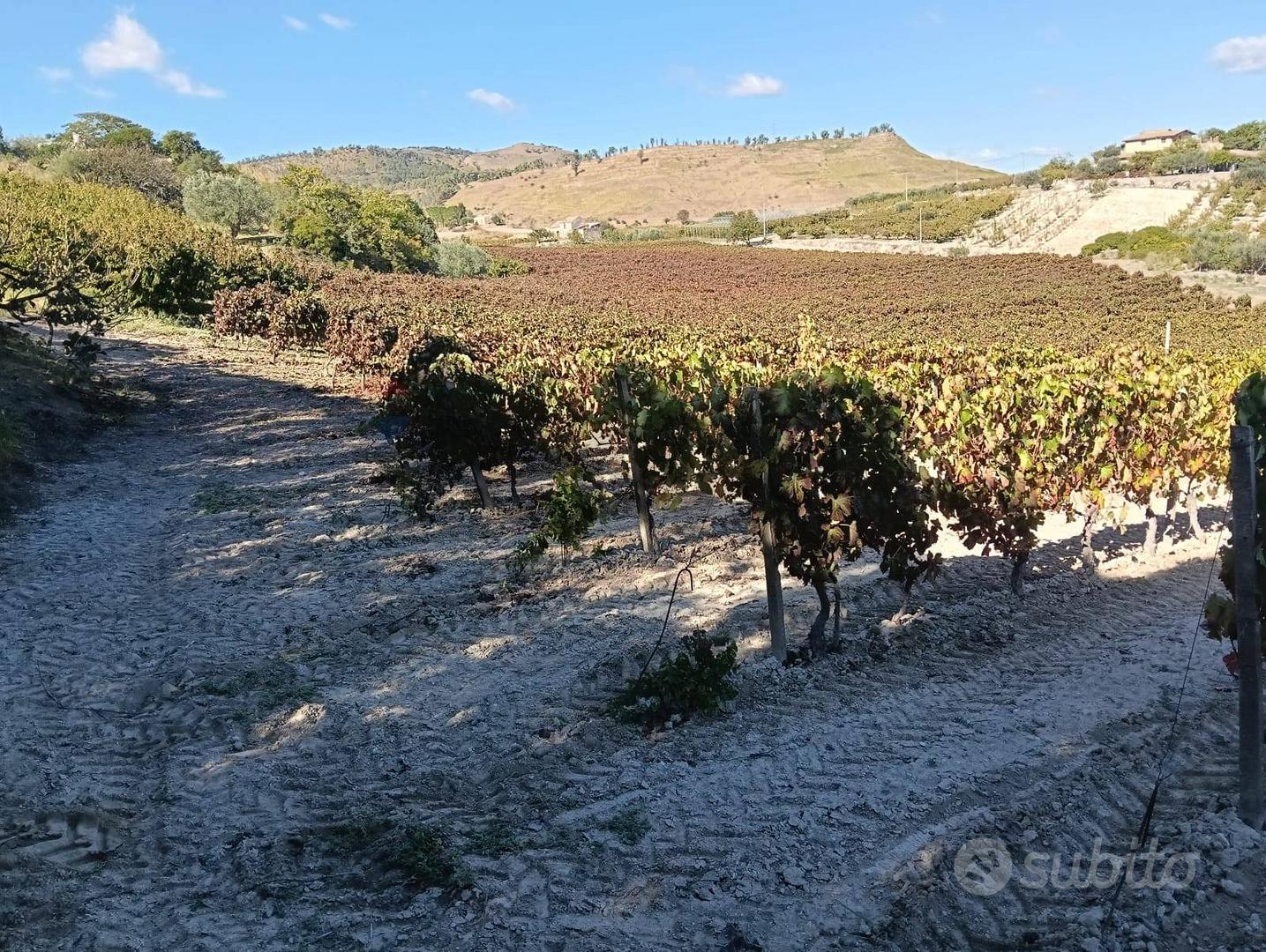 Terreno - Caltagirone - Altro