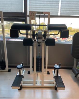 Standing gluteus Technogym