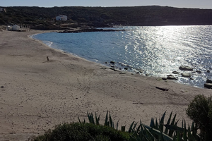 Dal 28 giugno al 14 luglio