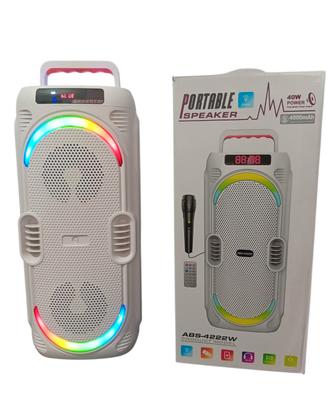 Cassa bluetooth portatile karaoke 