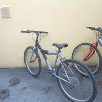 biciclette mountain bike