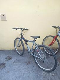 biciclette mountain bike
