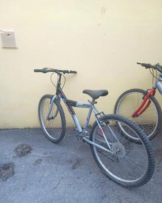 biciclette mountain bike