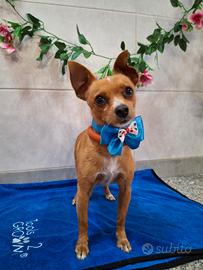 fidanzatina per Ciko