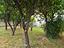 Immagine 29