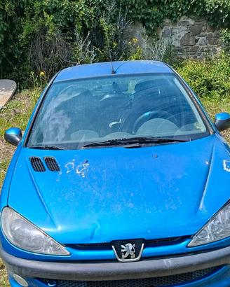Peugeot 206 anno 2004