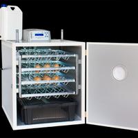 Incubatrice mg200/300 super rural lcd