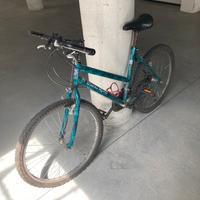 Bicicletta mountanbike unisex