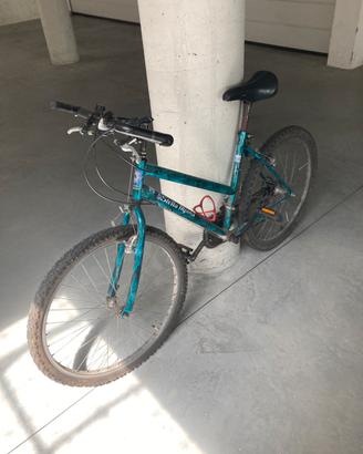 Bicicletta mountanbike unisex
