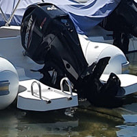 Mercury F40 PRO 2022