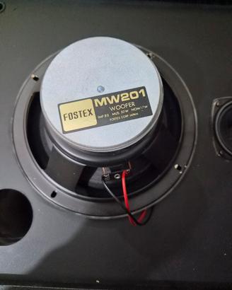 woofer fostex 
