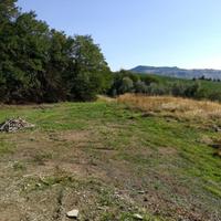 Terreno agricolo