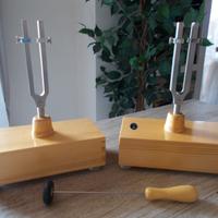 Diapason 440 Hz con cassa di risonanza