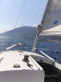 BARCA A VELA ALPA 21