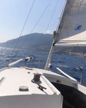 BARCA A VELA ALPA 21