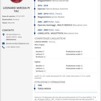 Lavoro come operaio