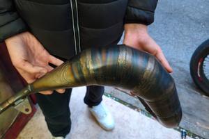 scarico voca completo 