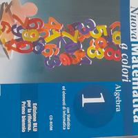 libro di matematica a colori algebra