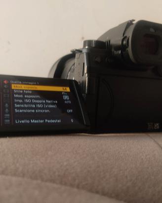 Panasonic s5 IIx
