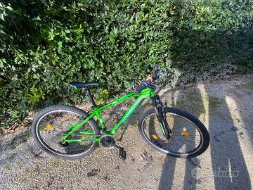 Bici da fuori strada