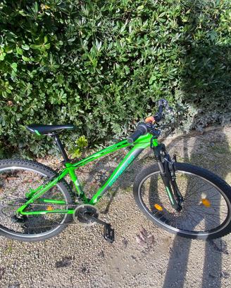 Bici da fuori strada