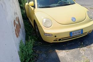Maggiolino