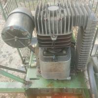 Potatura raccolta olive