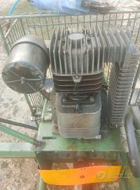 Potatura raccolta olive