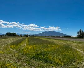 Terreno agricolo